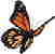 ButterButton04