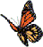 ButterButtonLeft copy0202