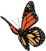 ButterButtonLeft copy03